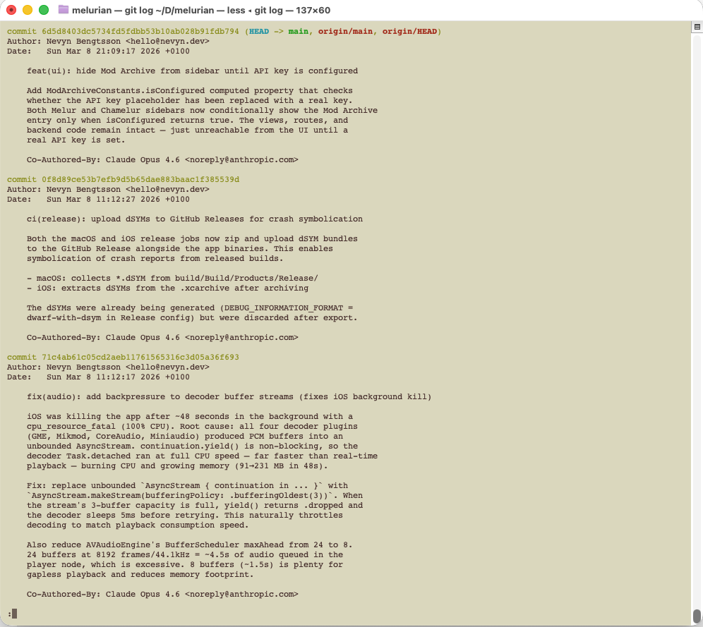 A screenshot of long commit messages.